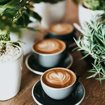 Kaffeetassen und Pflanzen